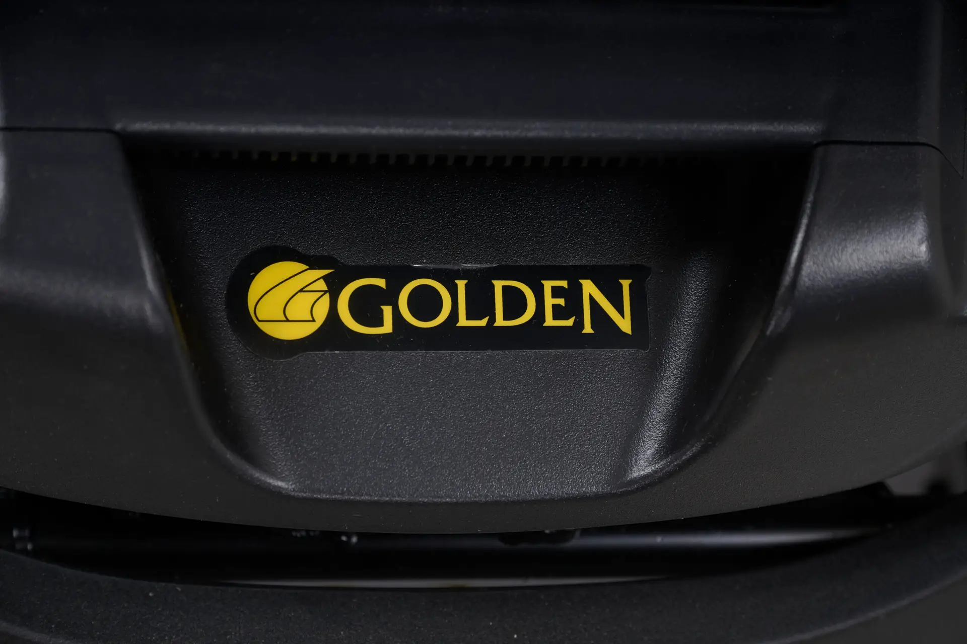 Golden BuzzAbout