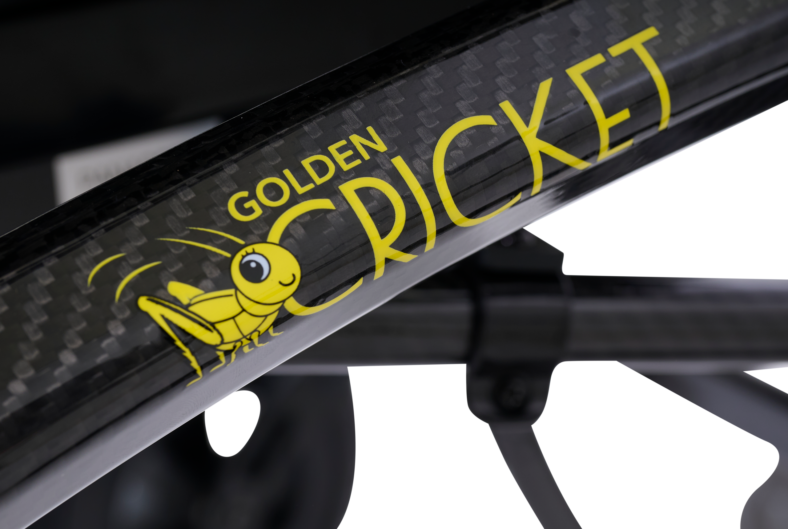 Golden Cricket